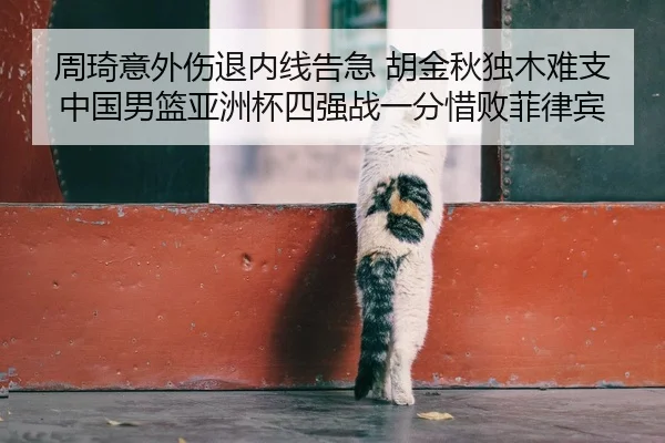 周琦意外伤退内线告急 胡金秋独木难支 中国男篮亚洲杯四强战一分惜败菲律宾